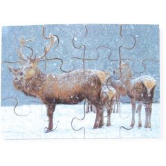 Wildlife Wooden Jigsaw - Set of 8