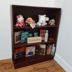 Illuminated Book Case
