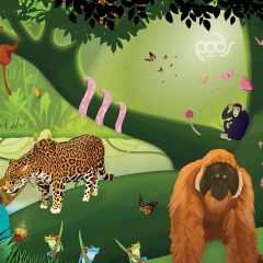 PODS Play Theme - Rumble in the Jungle