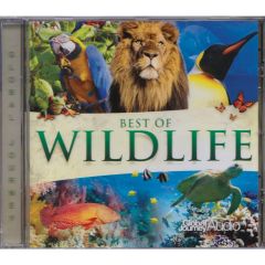Best of Wildlife