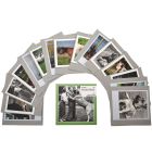 Reminiscence Card Album - Animal Album