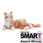 Companion Pet Tabby Cat