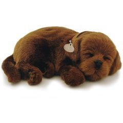 Precious Pets Puppy - Chocolate Lab