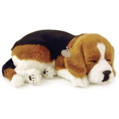 Precious Pets Puppy - Beagle