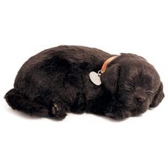Precious Pets Puppy - Black Lab