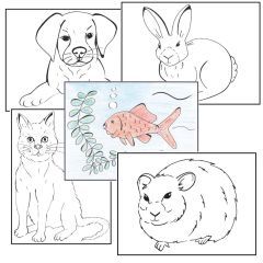 Simple Colouring for Adults - Pets - Set of 48