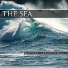 The Sea