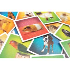 Memory Matching Game: Pets