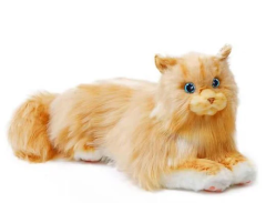 Marmalade - The Robotic Cat