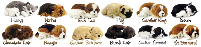 Precious Pets