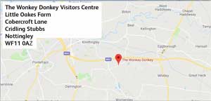 Wonkey Donkey Location